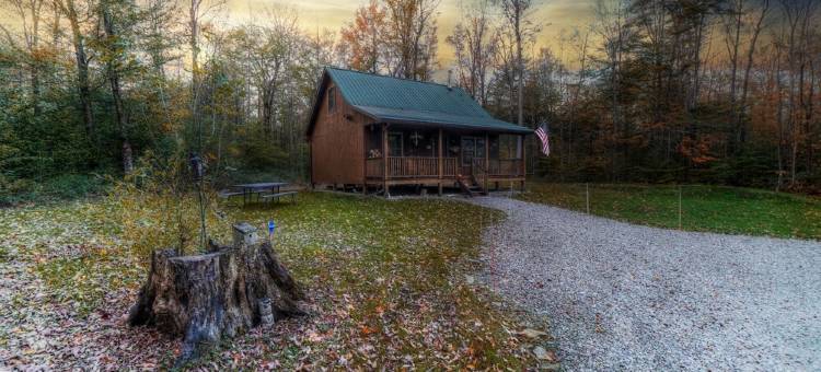 Upscale Cozy Cabin in the Woods, Letchworth, Stony Brook Parks, Wineries图片