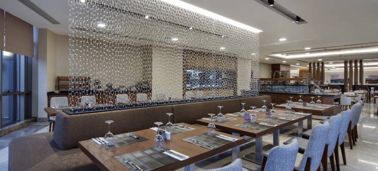 乔尔卢希尔顿花园酒店(Hilton Garden Inn Corlu)图片