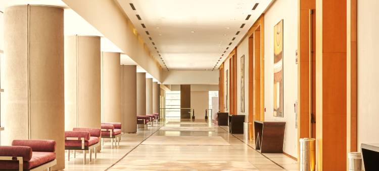 希尔顿门多萨(Hilton Mendoza)图片