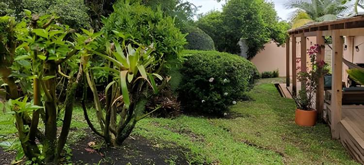 洛斯库拉萨斯之家(Casa Los Curazaos)图片