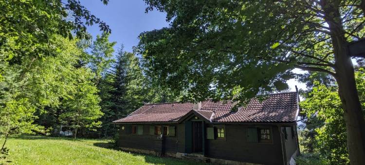 埃德利茨的度假屋，靠近滑雪坡(Holiday Home in Edlitz Near Ski Slopes)图片