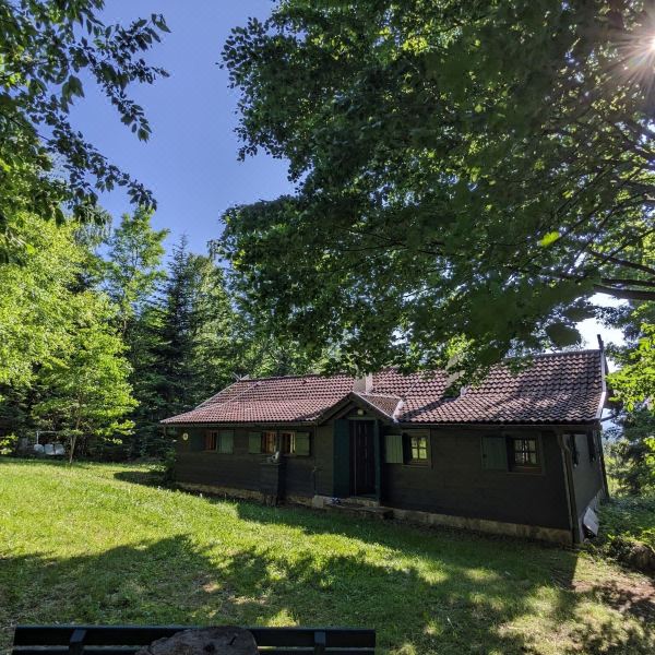 埃德利茨的度假屋，靠近滑雪坡(Holiday Home in Edlitz Near Ski Slopes)图片