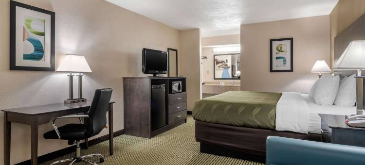 亚特兰大南麦克多纳夫凯艺酒店(Quality Inn McDonough Atlanta South)图片