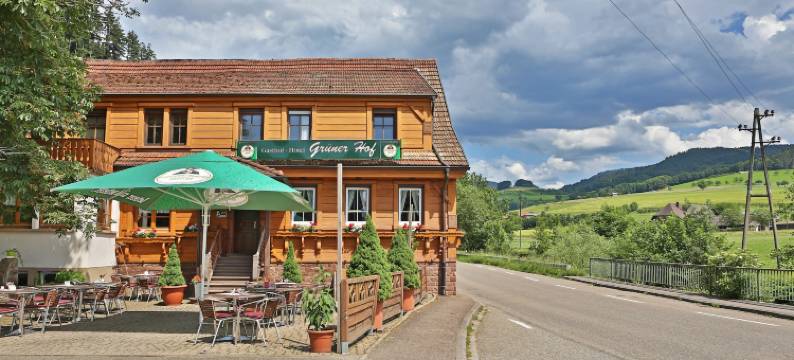 格努讷霍夫酒店(Grüner Hof)图片