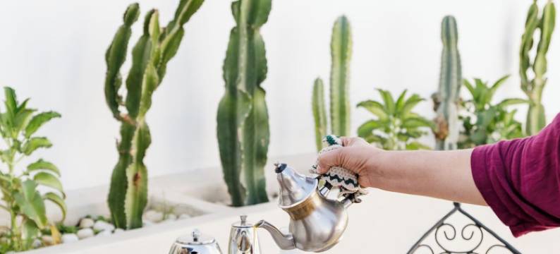 索米亚酒店(Riad Twilight)图片