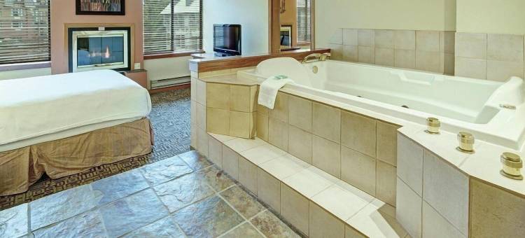 惠斯勒山边行政酒店(Mountain Side Hotel Whistler by Executive)图片
