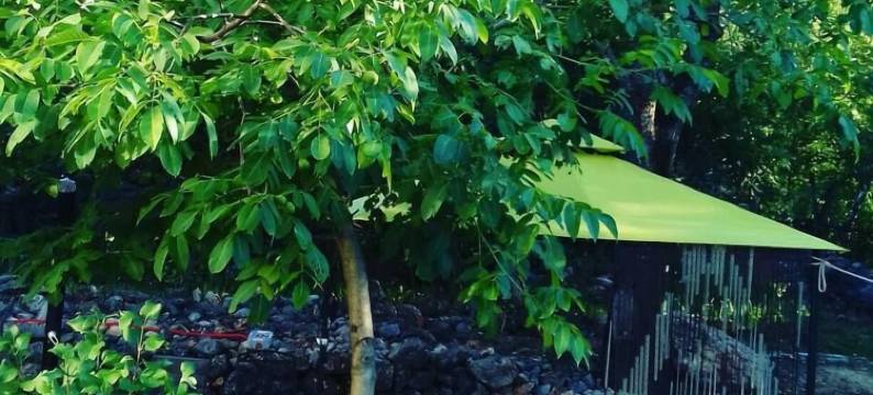 假日之家酒店(Holiday House)图片