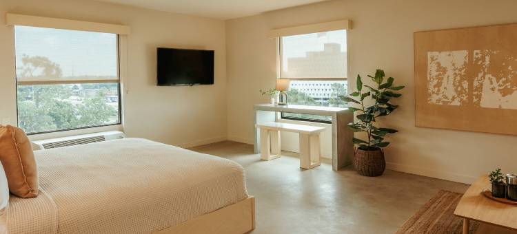 布鲁特酒店(Brut Hotel)图片