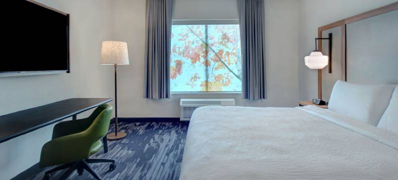 罗切斯特丘陵万枫酒店(Fairfield Inn & Suites Rochester Hills)图片