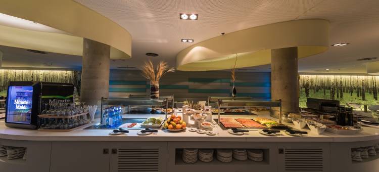 阿尔瓦赛特比特里兹酒店(Hotel Palacio Albacete & Spa)图片