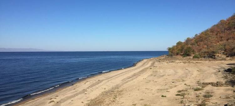 卡里巴(Kariba)图片