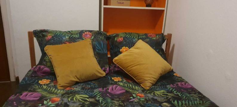 安特卫普舒适房间(Room-Cosy Room in Antwerpen)图片