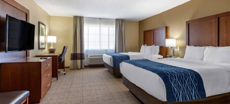 洛兹堡 I-10 舒适套房酒店(Comfort Inn & Suites Lordsburg I-10)图片