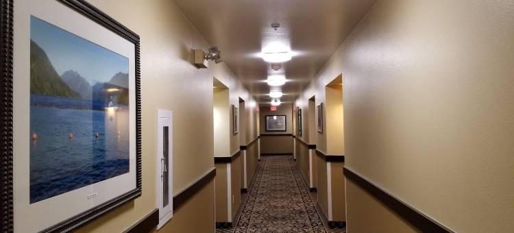 露珠旅馆(Dew Drop Inn)图片