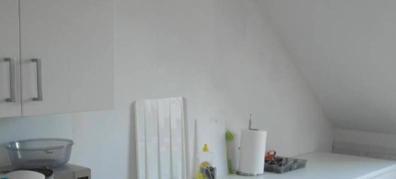 瑞因斯伦德住宿加早餐旅馆(Ringslund B&B)图片