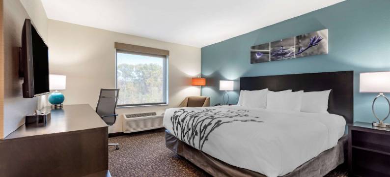 舒眠旅馆-纽贝利-科瑞恩(Sleep Inn Newberry - Crane)图片