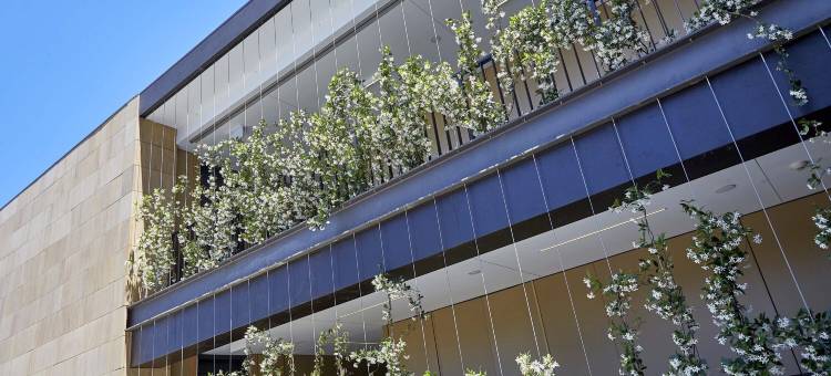 Wonil Hotel Perth - Handwritten Collection图片