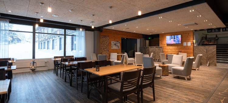 亚拉斯缇欧拉普兰酒店(Lapland Hotels Ylläskaltio)图片