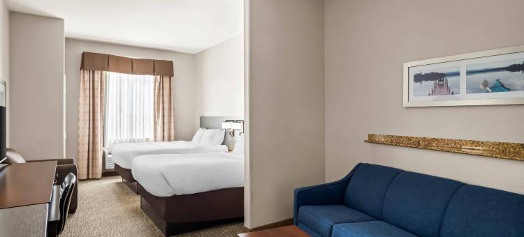 沃克西哈奇-达拉斯舒适套房酒店(Comfort Suites Waxahachie - Dallas)图片