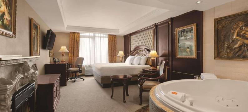 多伦多机场西丽笙酒店(Radisson Toronto Airport West)图片