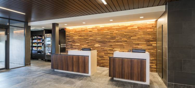 坦帕西北-老兵高速公路万怡酒店(Courtyard Tampa Northwest/Veterans Expressway)图片