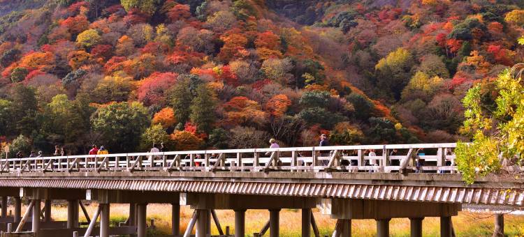 嵯峨岚山比纳里奥酒店(Hotel Binario Saga Arashiyama)图片