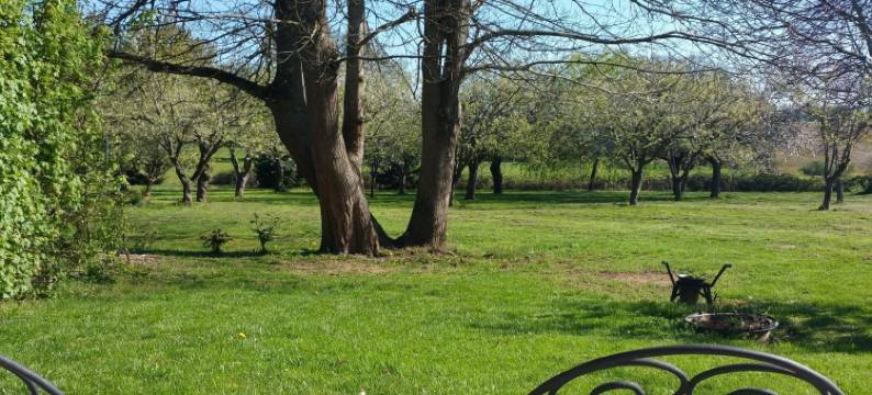 谢泽莱之家酒店(Logis de Chezelles)图片