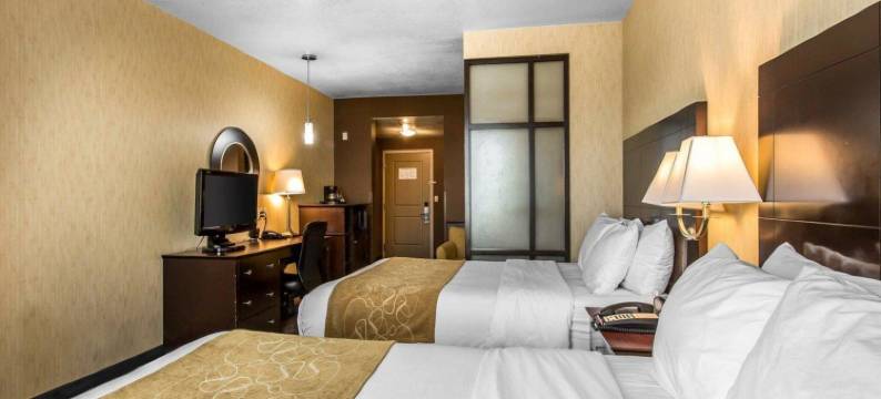 洛杉矶工业城附近舒适套房酒店(Comfort Suites Near City of Industry - Los Angeles)图片