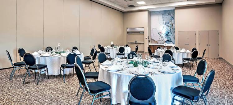 渥太华机场希尔顿花园旅馆(Hilton Garden Inn Ottawa Airport)图片