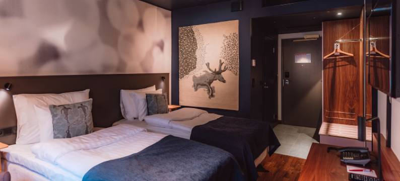 赫尔辛基总统原生索科斯酒店(Original Sokos Hotel Presidentti)图片