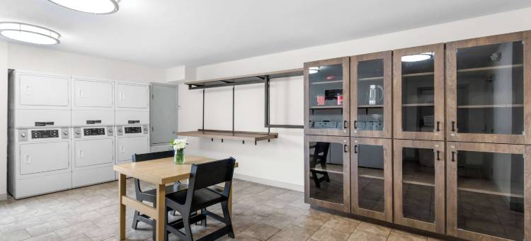 奥斯汀南索尼斯塔简单套房酒店(Sonesta Simply Suites Austin South)图片