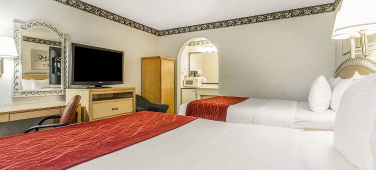 舒适酒店-帕洛阿尔托(Comfort Inn Palo Alto)图片