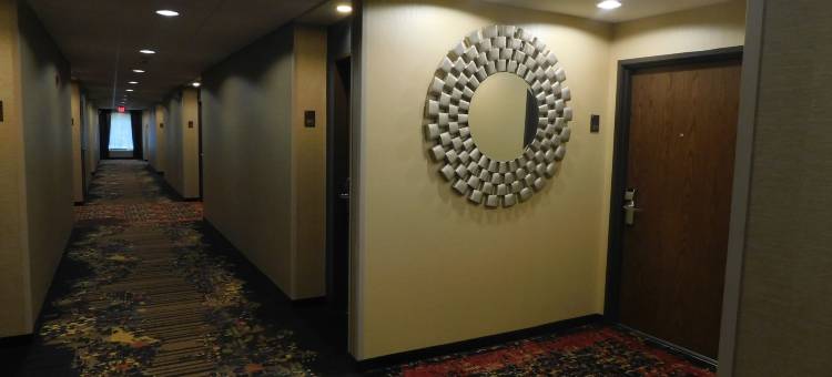 舒适酒店(Comfort Inn)图片