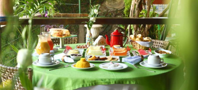 杜安帕鲁旅馆(Pousada do Amparo)图片