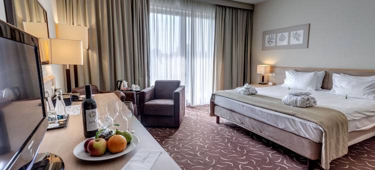 Holiday Inn Resort 华沙 - 约瑟夫乌(Holiday Inn Resort Warsaw - Jozefow)图片