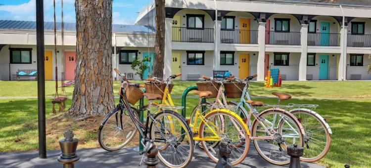 麦科伊酒店 - 艺术，酒精，游泳社会(Hotel McCoy - Art, Libations, Pool Society)图片