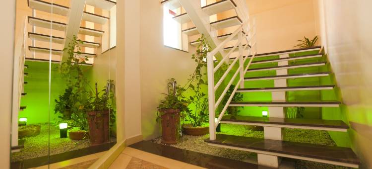 欧利广场酒店(Hotel Oly Plaza)图片