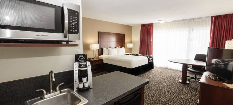 克利尔沃特中心拉昆塔温德姆酒店(La Quinta Inn by Wyndham Clearwater Central)图片