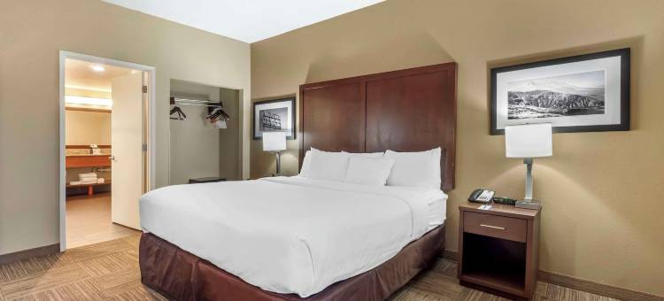 舒适酒店及套房-锡塔克机场(Comfort Inn & Suites Sea-Tac Airport)图片