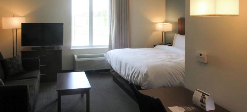 盖斯马-冈萨雷斯美茵斯坦套房酒店(MainStay Suites Geismar - Gonzales)图片