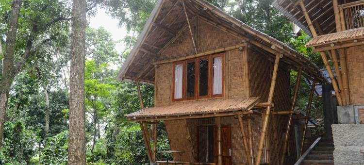武吉拉旺经济小屋(Ecolodge Bukit Lawang - Hotel&Jungletrek)图片