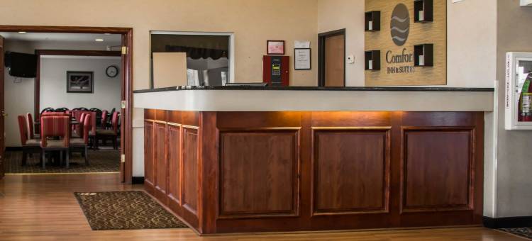 迪蒙代尔舒适套房酒店(Comfort Inn & Suites Dimondale - Lansing)图片