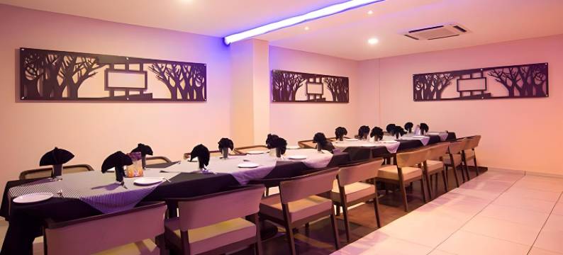 Super Townhouse Anand Formerly Hotel the Maison图片