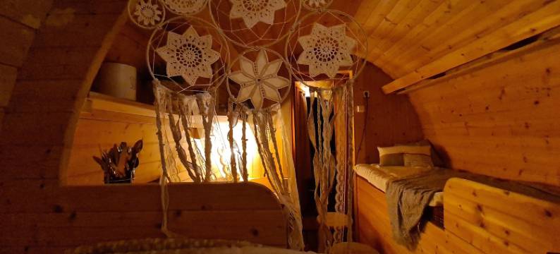 柳树的呼吸(Le Souffle du Saule)图片