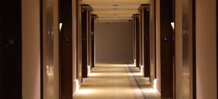 钦奈瑞加纳塔中央RS奥马尔酒店(Regenta Central RS Chennai OMR Sipcot)图片