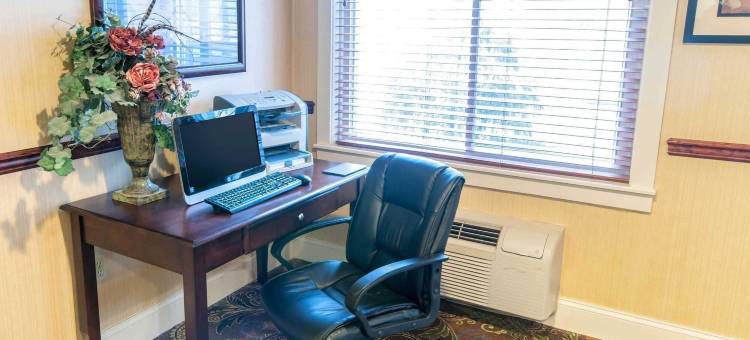 新荷兰阿米什乡村舒适酒店(Comfort Inn Amish Country)图片
