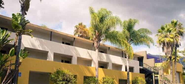 柠檬树旅馆(Lemon Tree Inn)图片