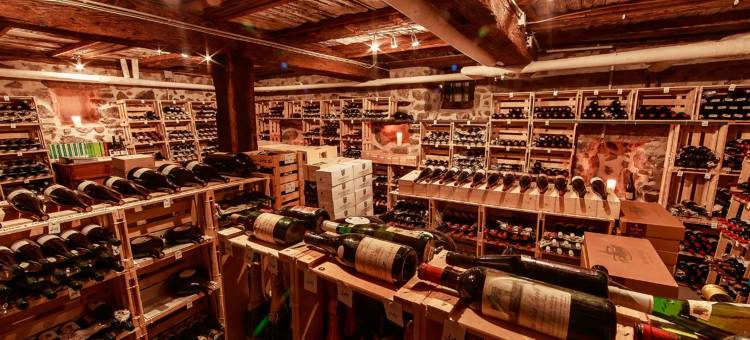 红斯万德幕酒店(Rebstock Waldulm)图片