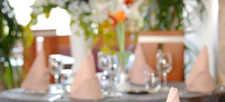 中央酒店(Hotel le Centre)图片