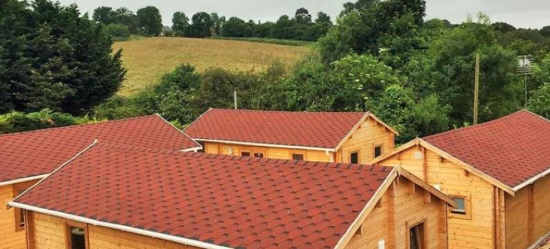 林缘汽车旅馆(Forest Edge Motel)图片